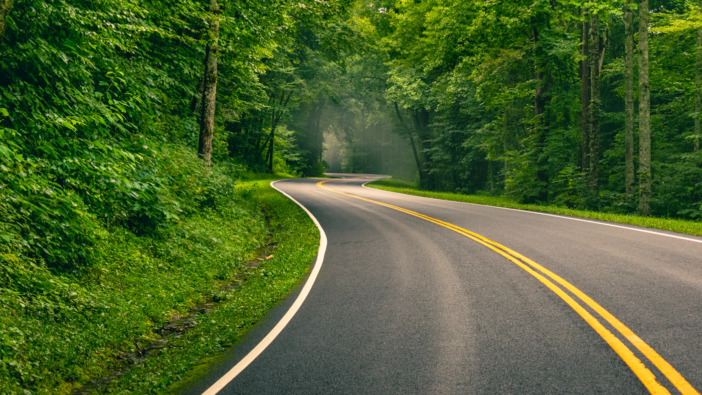 Tree-lined highway illustrating an Atlanta to Greenville trip